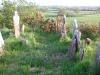 Old Murragh Cemetery 4_thumb.jpg 2.8K